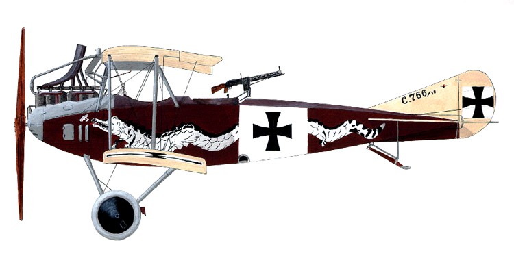 L'Albatros C.III di Erwin Bohme